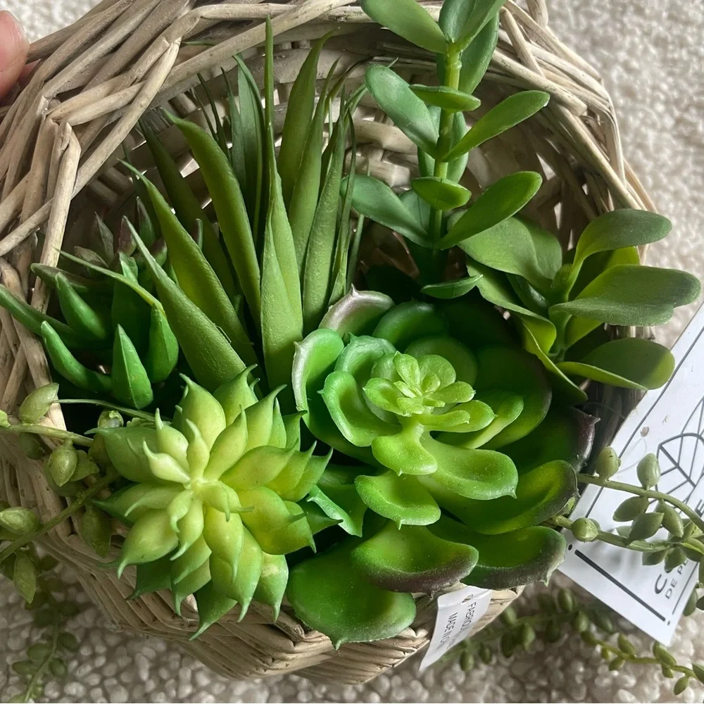 Lifelike succulent wall decor